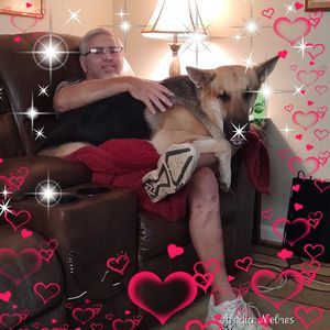 Meet your Posher, Cindy davis